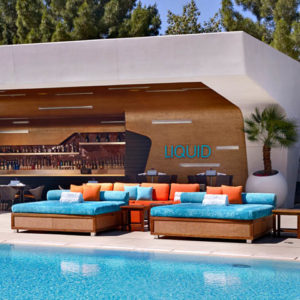 Liquid Pool Larger Daybed Bottle