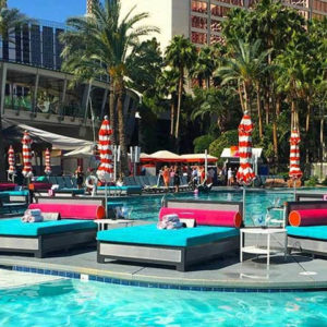 Flamingo Go Pool Daybed Bottle Service
