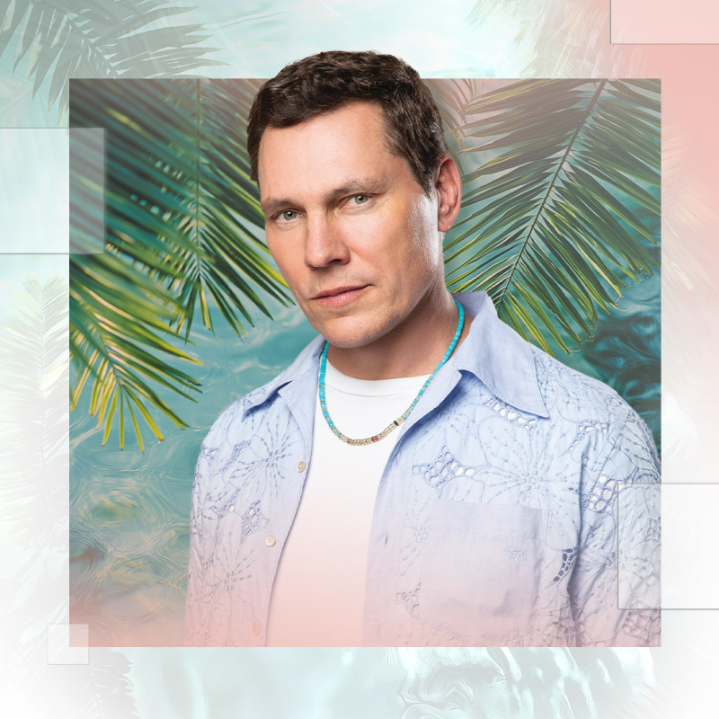 Tiesto Palm Tree Beach Club Profile