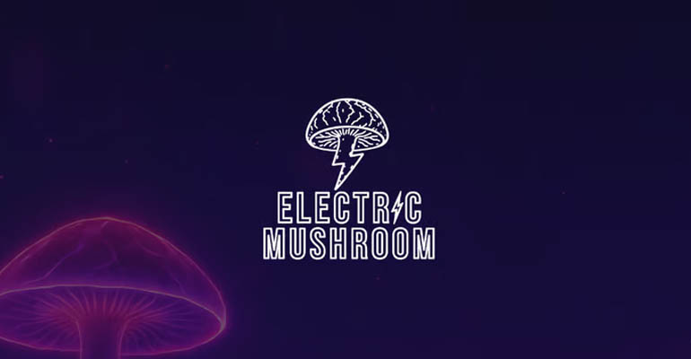 Electric Mushroom Discount Code